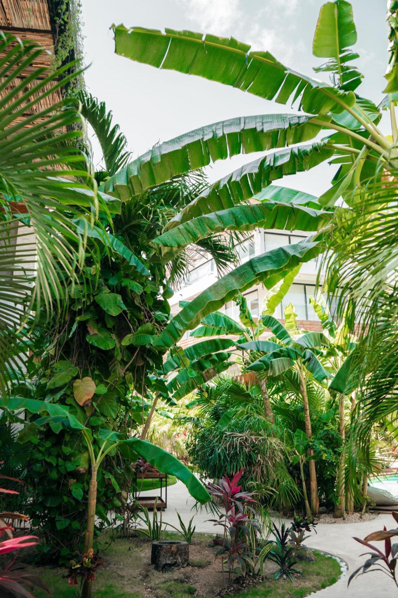 Kinah Retreat - Exclusive Boho Tropical Escape Apartman Tulum Kültér fotó